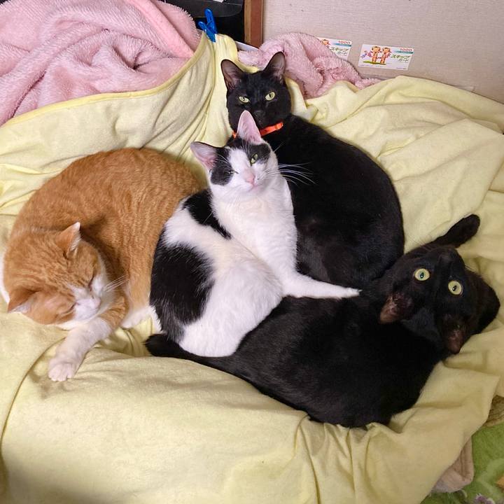 15af68e4 6444 42f7 8b4e bf4fc4169700 1678004367822