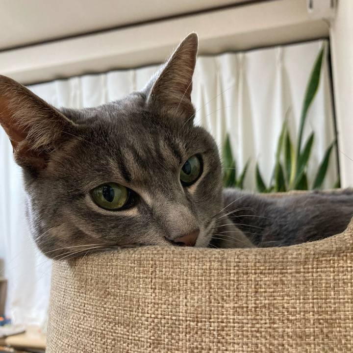 15af78a8 a5dc 4b25 a186 71d1aea3cce1 1626354457828