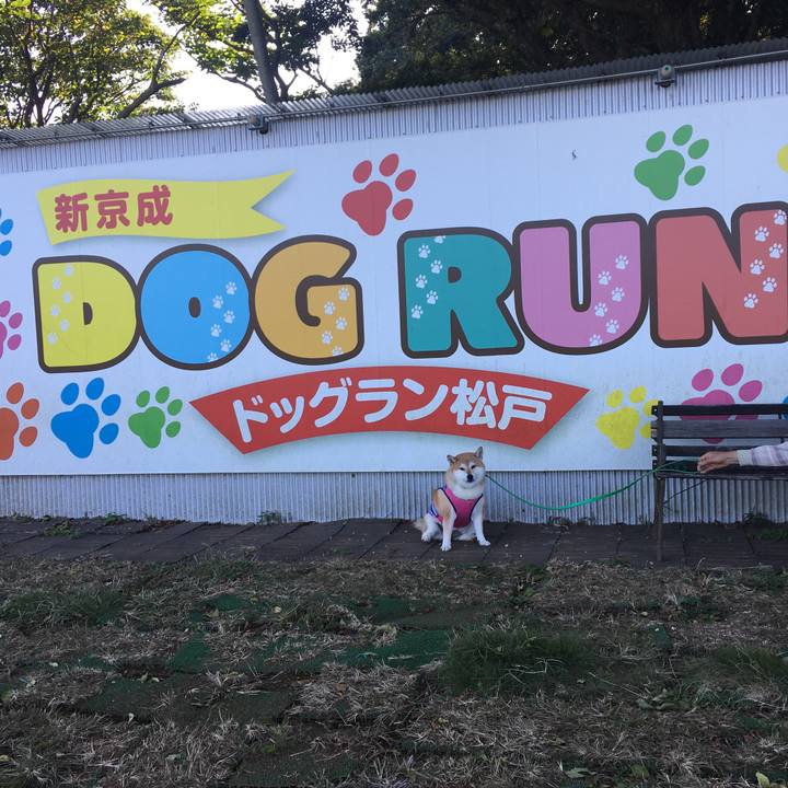 15af9151 61a1 44cc bc06 d17f5fe9e8ee 1603268300755