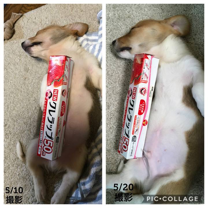 15af9d1b 87b3 4400 b976 b8fb7152cfb5 1589988430839