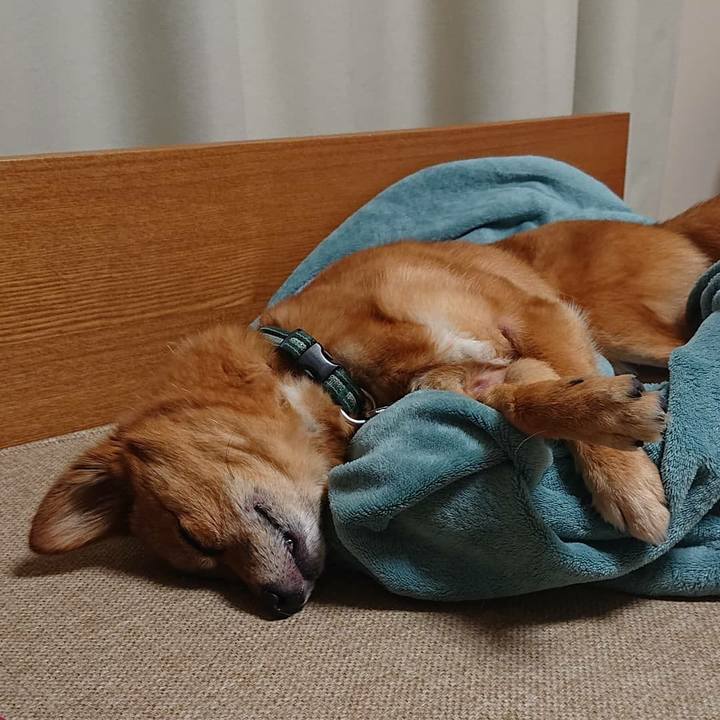 15afed2f b8aa 4de4 be88 3cc760e9cc55 1584016697274