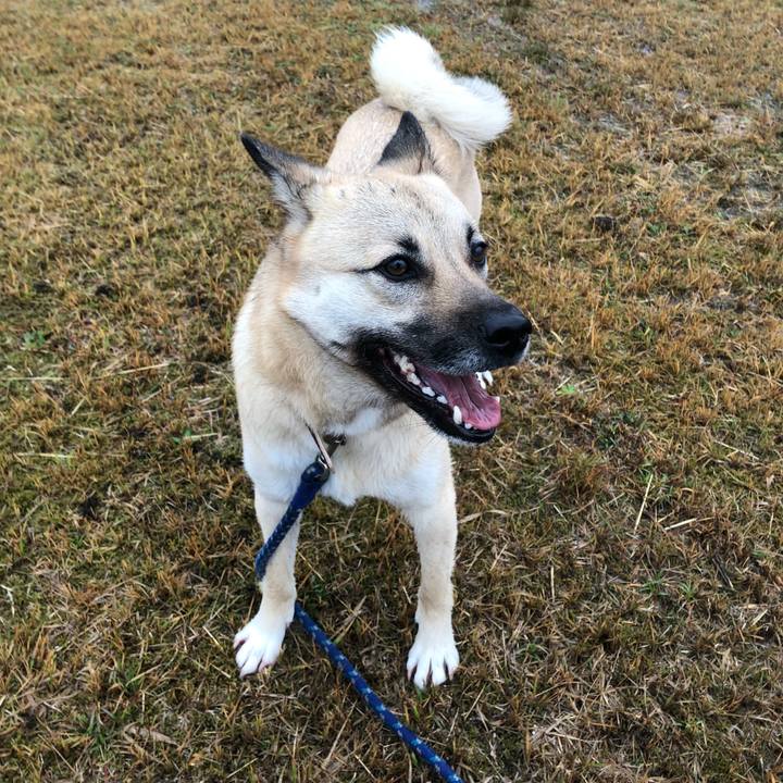 15afef0a 9f5d 490a b816 9f56c519fac9 1521636543504