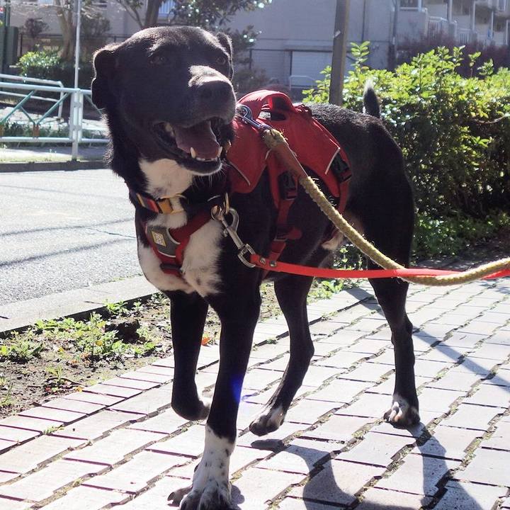 15b0162d 0dcb 467c 80c2 679074157198 1584665396392