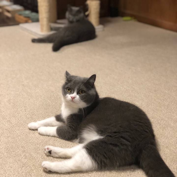 15b02b1d 9584 43c9 ba0c 7eead2c773f9 1560558007217