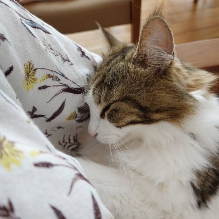 15b04679 0973 4c99 8fa0 0ba1ed014eb1 1594886740373