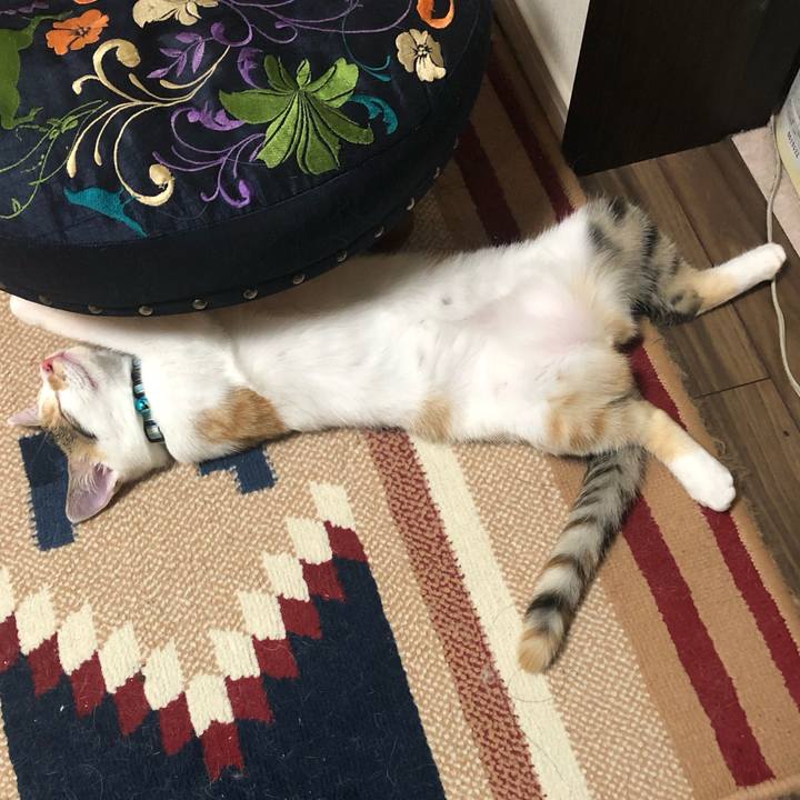 15b04fdb 3b84 49c4 966f cd1bb9459d8d 1567001201379