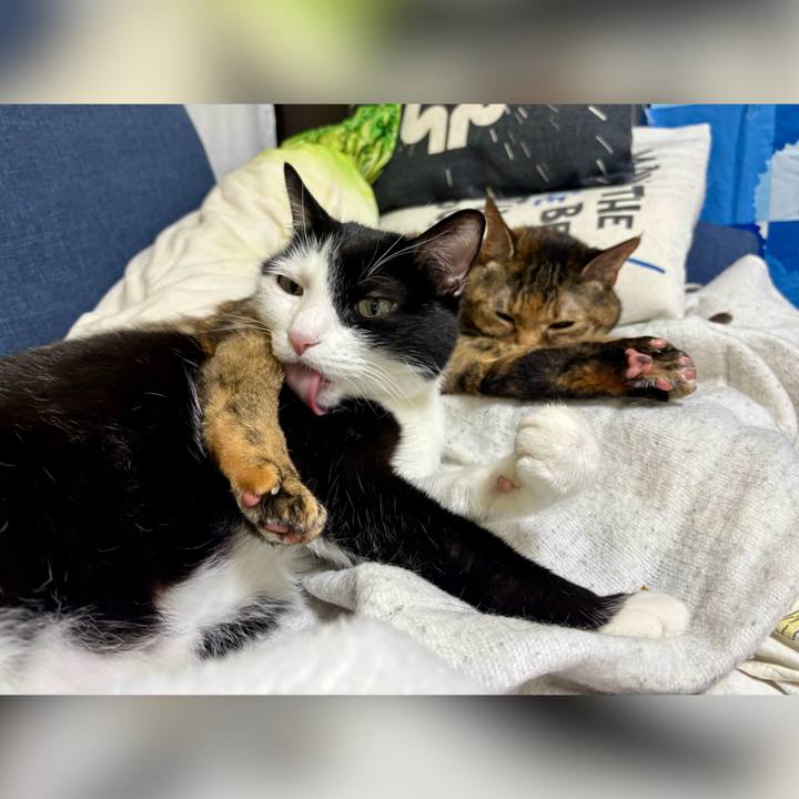 15b09405 cded 49d9 9392 8acf7405dff8 1735648247229