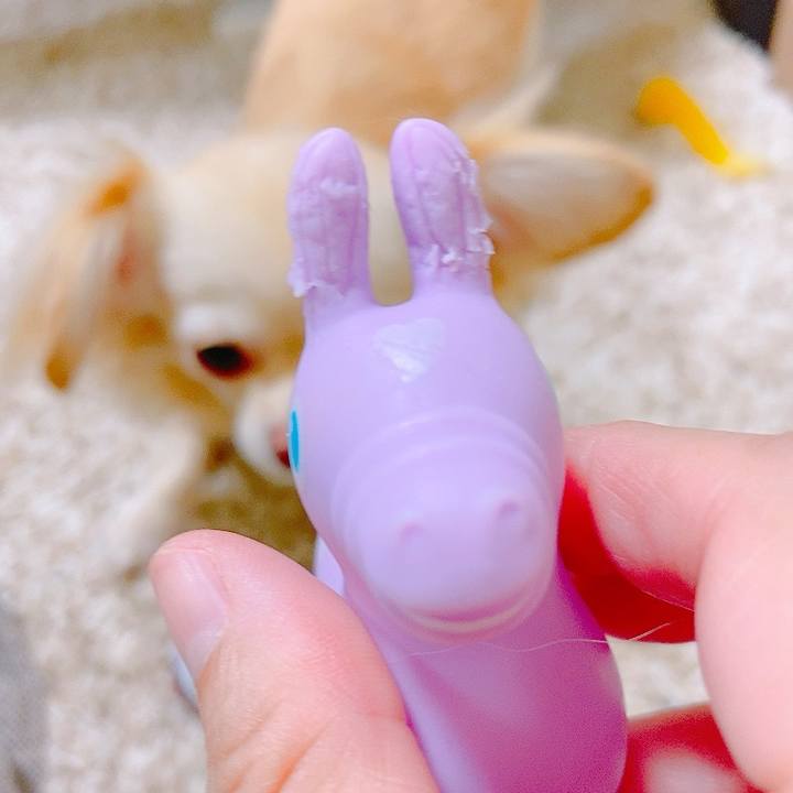 15b09e37 6158 413d a210 bd49a8962075 1626503511389