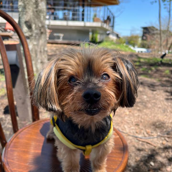 15b0a791 5d08 4163 a742 81257bf8dd54 1714773651197