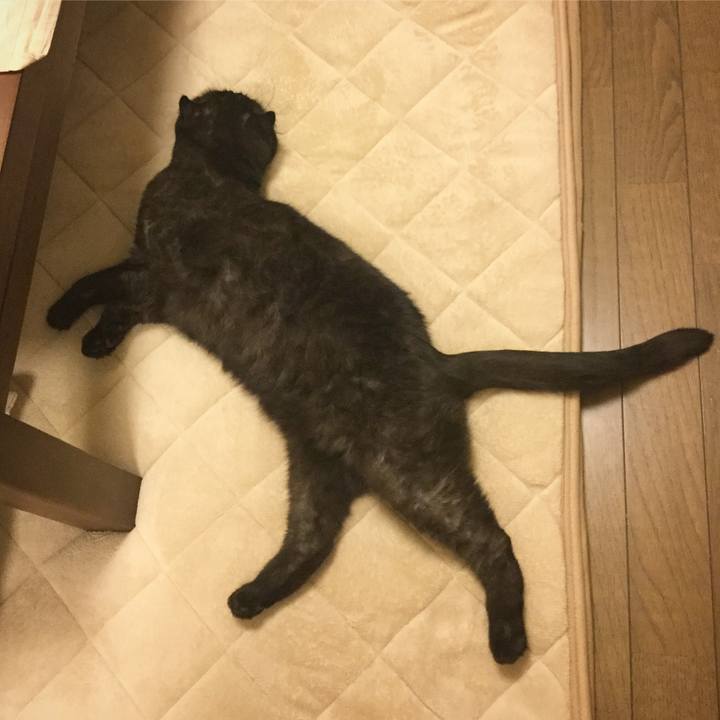 15b0f73e ee33 4dd9 838c ed9c4f9f5899 1508891095469