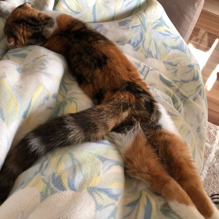 15b13d6f e025 4167 921d dde095d054ec 1514097083061