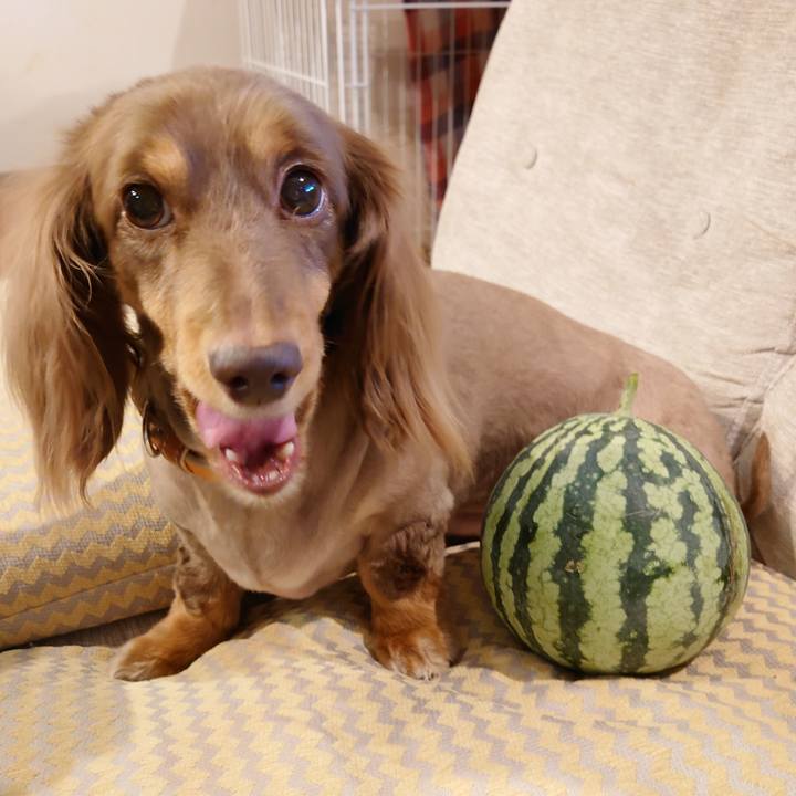 15b161e1 8595 4161 a85a 3fb240cf03f0 1658392022642