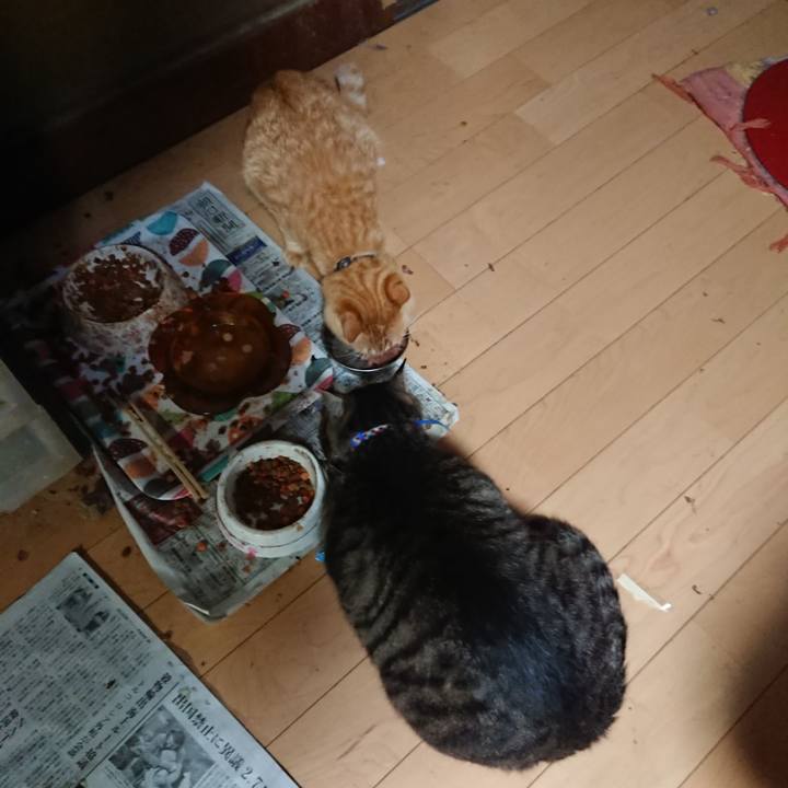 15b16566 1f3f 47ff bbf1 183d611ce382 1656073306914