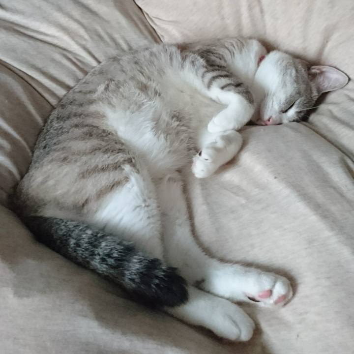 15b18998 6595 42ea 8d87 431c60264113 1563076998661