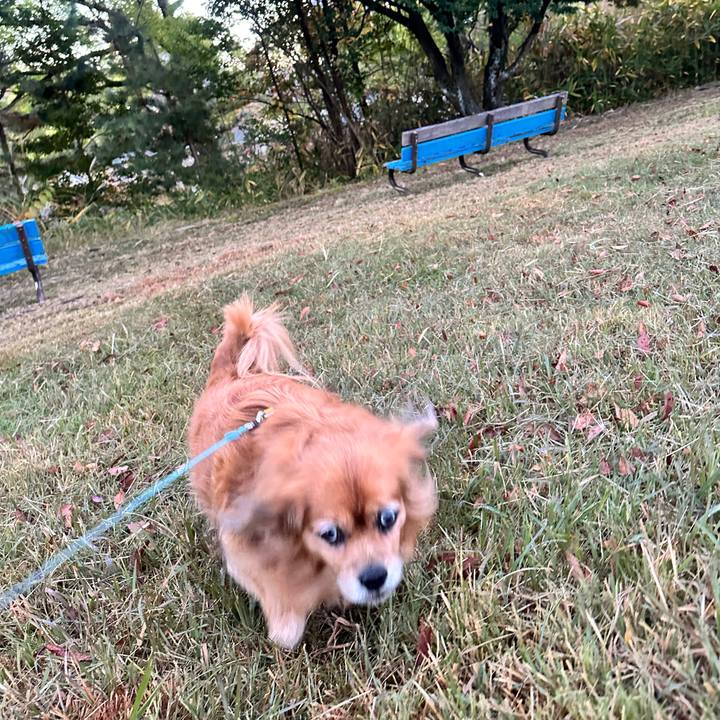 15b1c861 95e4 4662 9c20 fb4a7d26687b 1764453482158