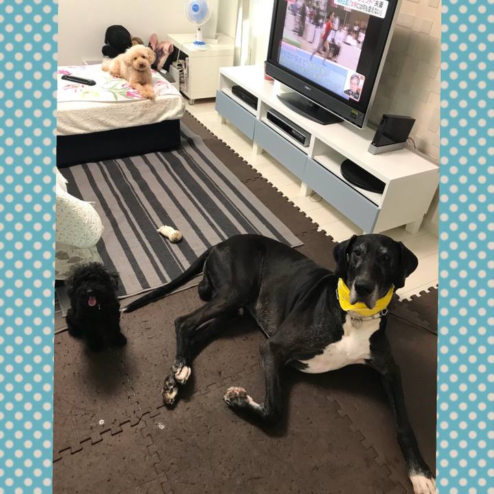 15b1ca53 3980 4a75 bc01 fbd51ab4e397 1535666631543