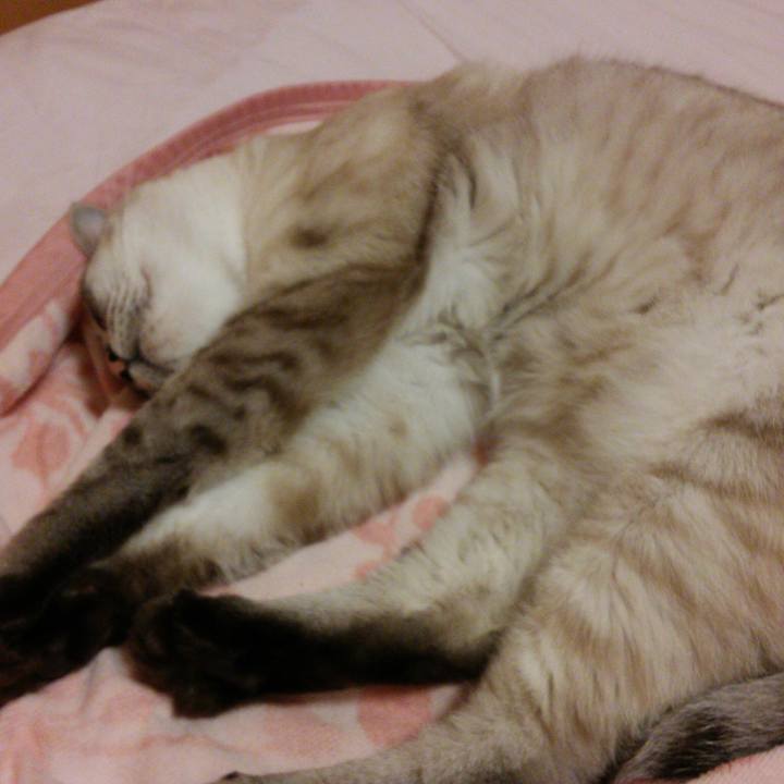 15b1da84 3851 4543 b96b 33e62edb0005 1529593704247