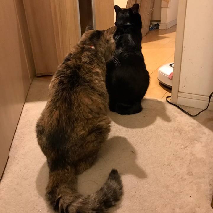 15b1f102 436b 4bc8 8bd6 0f1f2a755561 1521380057377