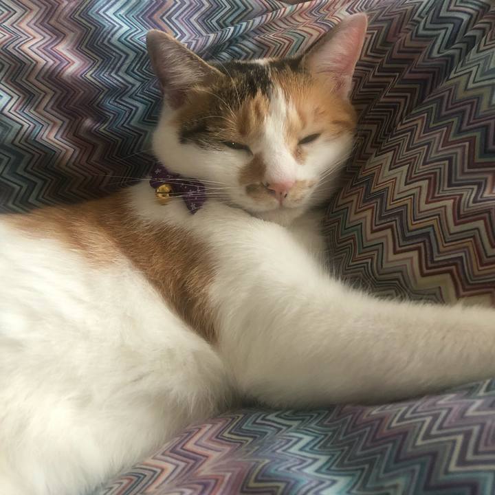 15b1f3ed 1d78 4932 af69 314402e34943 1601083432423