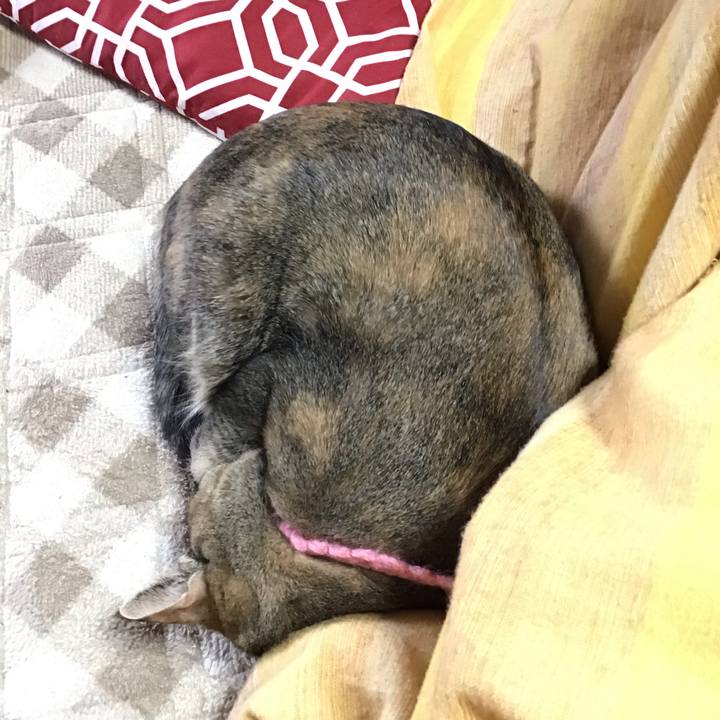 15b21679 0b7f 4623 af52 72ce7463ade9 1615169756292