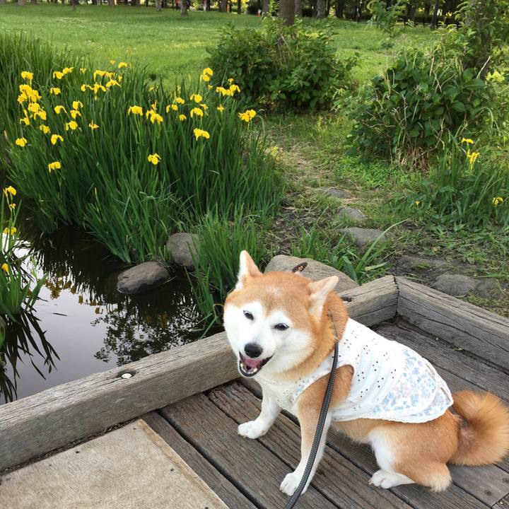 15b22b83 319c 4e5e 979a 70870472606a 1525525018288