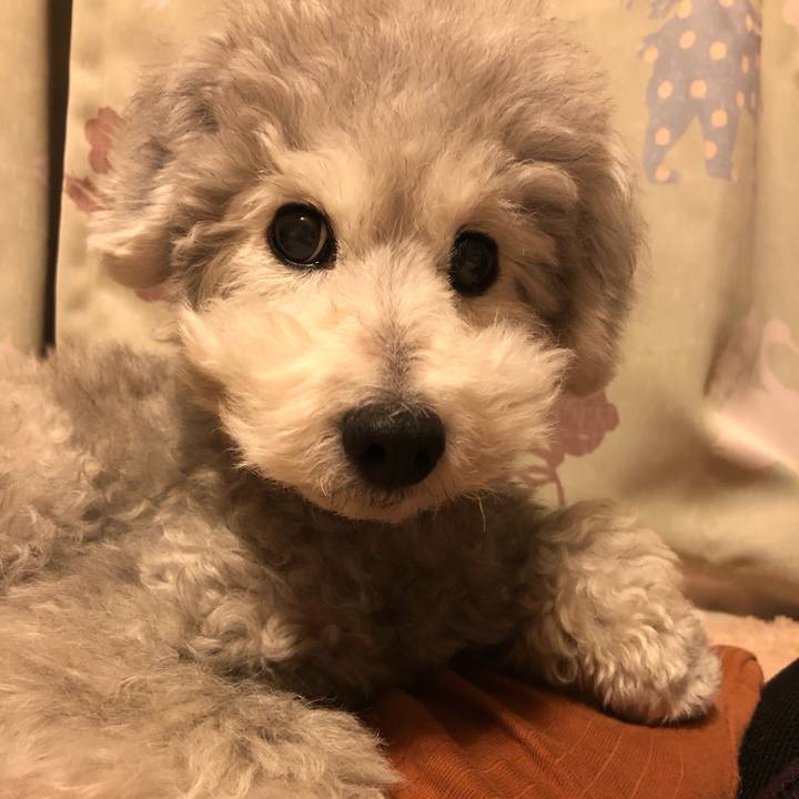 15b22efe f55b 4c31 96bf 5c14fd06810a 1555822123898