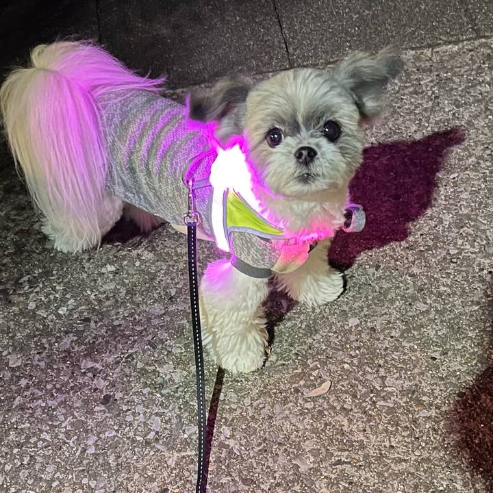 15b2935e c832 4e8a 94b8 803c6533fd91 1637404966993