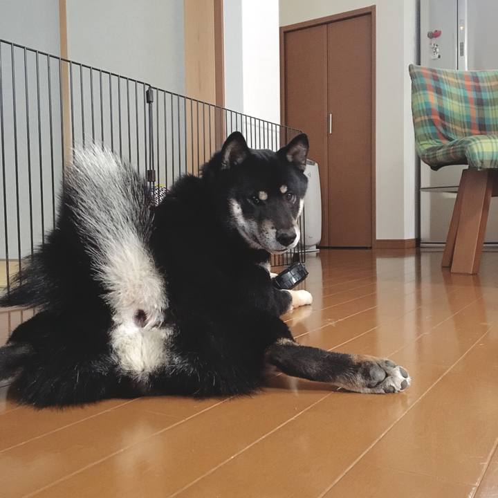 15b2f155 70b1 4068 af0d 44e8d3c6e5e5 1547099640512