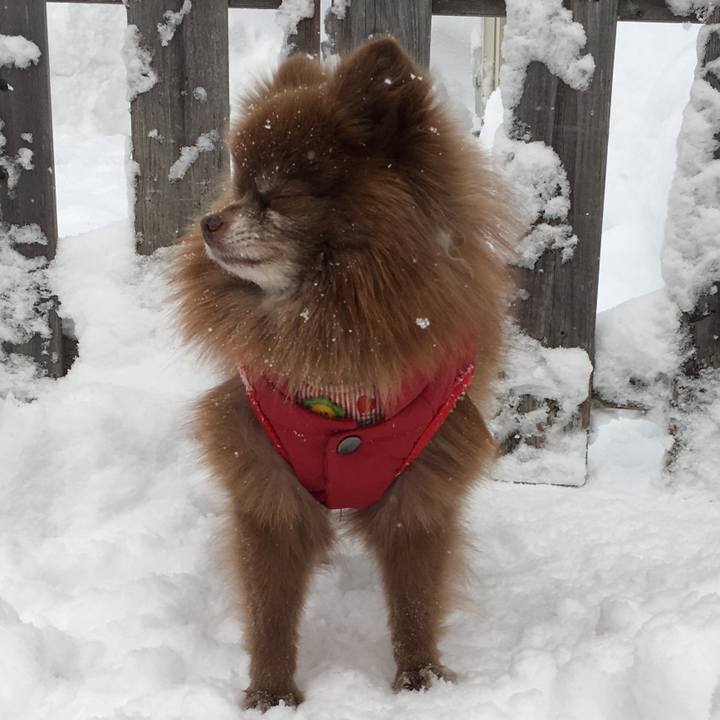 15b312bf 9f9e 468d a1cd 8ad3cb9feebf 1517274162305