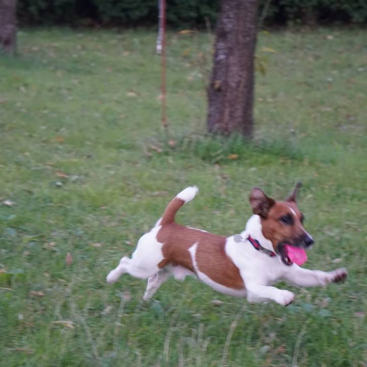 15b3216d 9e63 4ba6 88e8 7cd0a774aec0 1509577917439