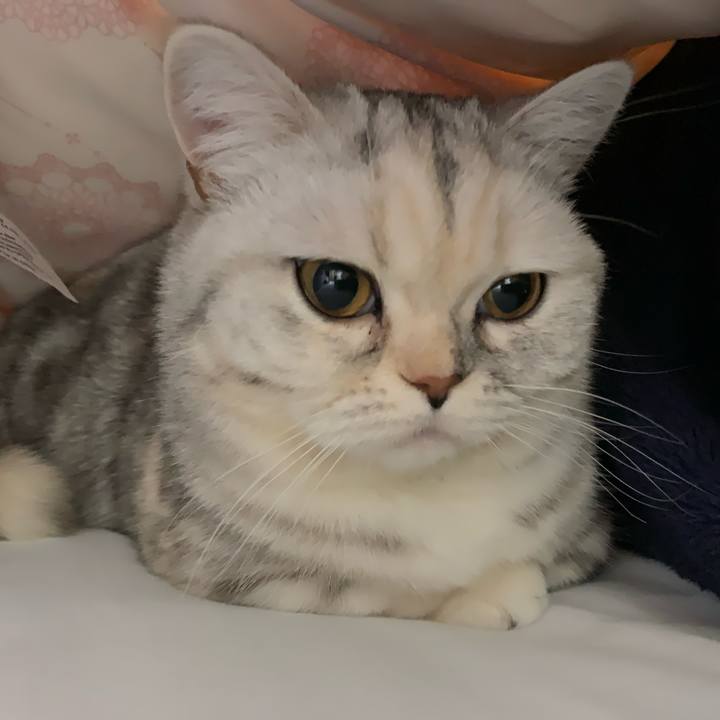 15b32b51 715b 462b bb4f 49ab4cb7de02 1709555792616