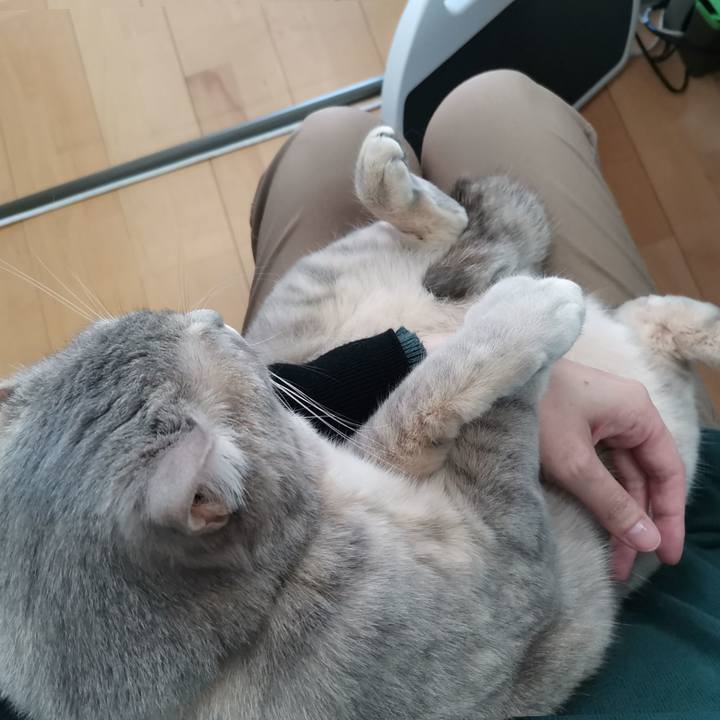 15b32d3b 44a3 41ba ac6c 485b34a2e045 1605601587364