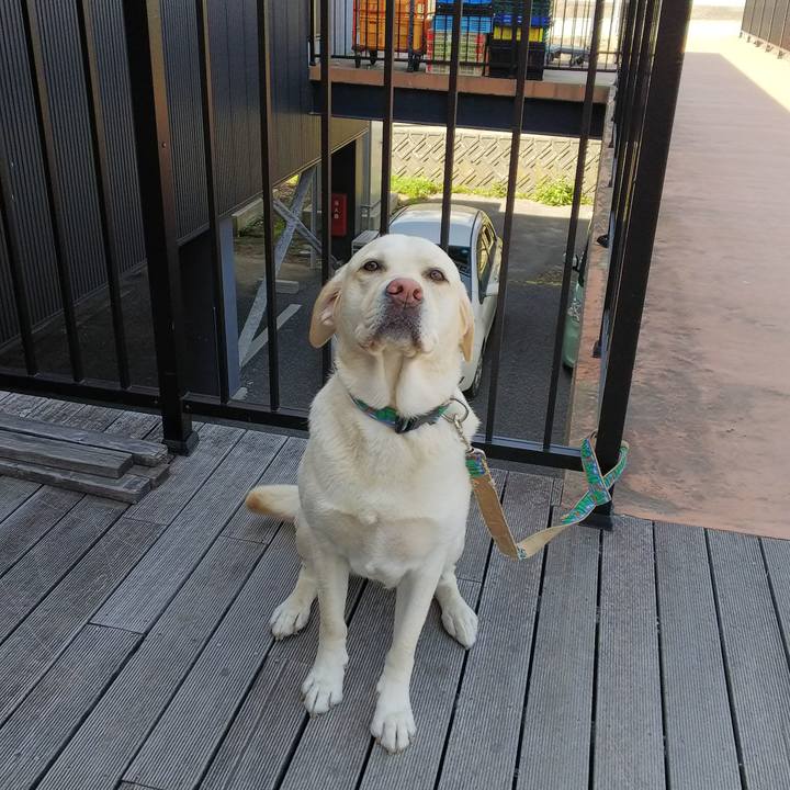 15b34e26 8c54 40d8 8713 b478726c156b 1524905002548