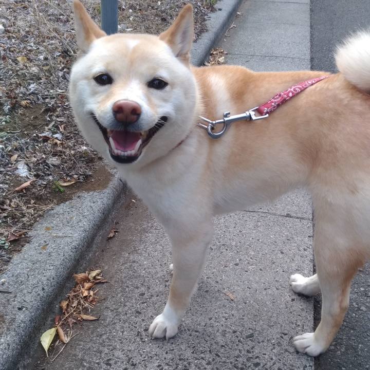 15b35943 2633 4e19 a74c 4d6caa65dcb5 1559818245781