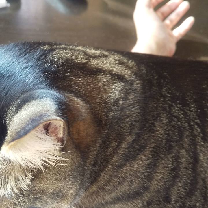 15b377c3 7b03 4b75 bb54 7d9867f4f1d5 1667883220162