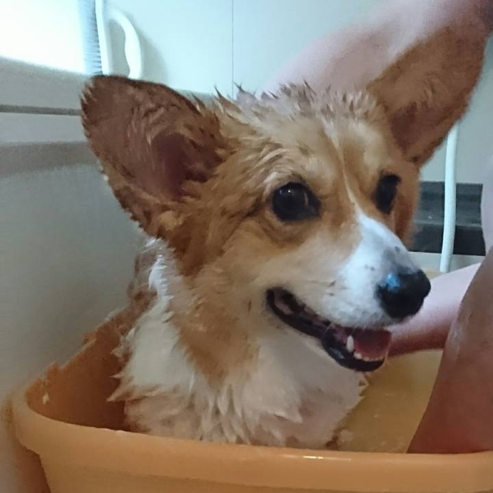 15b378a6 a6f3 4f8b a526 dc1c96362a73 1526717540984