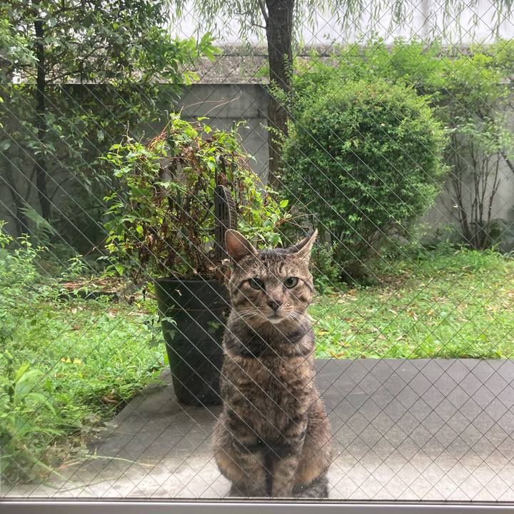 15b3896a 4a66 41e6 84bf e3d419143530 1657337251778