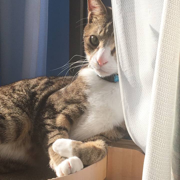 15b39d55 20e8 4cac 9393 b4535b3b8eae 1678061472930