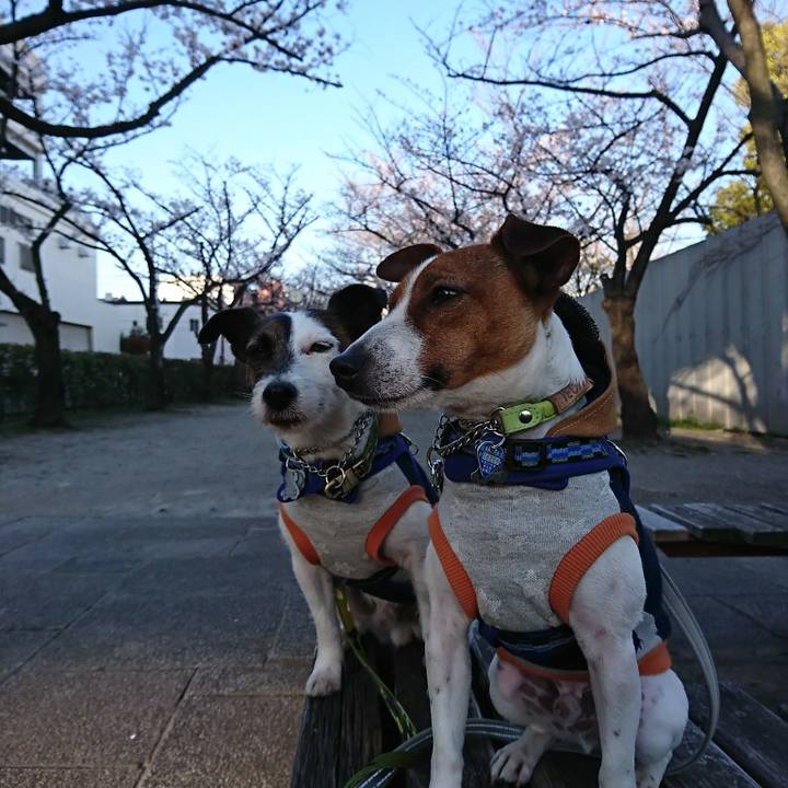 15b3b553 1142 4b51 800d b84431cdcbea 1553637689657