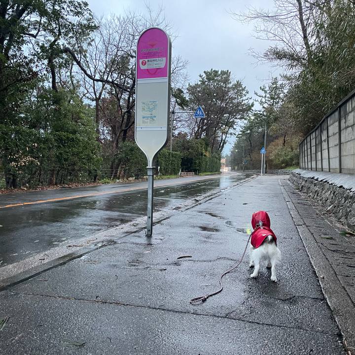 15b3ce5d 858e 4f48 82d9 bb9dd0f1e2ef 1703027645335