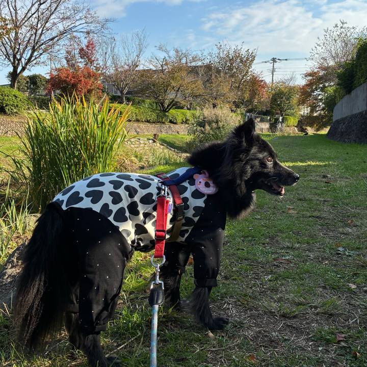 15b46bbe ff76 4cb7 a3de 600527b9276f 1762584191849