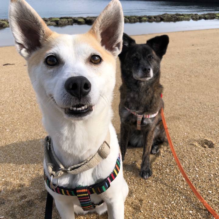 15b4a19a d81a 4848 84a2 e209b377b0ee 1590143983145