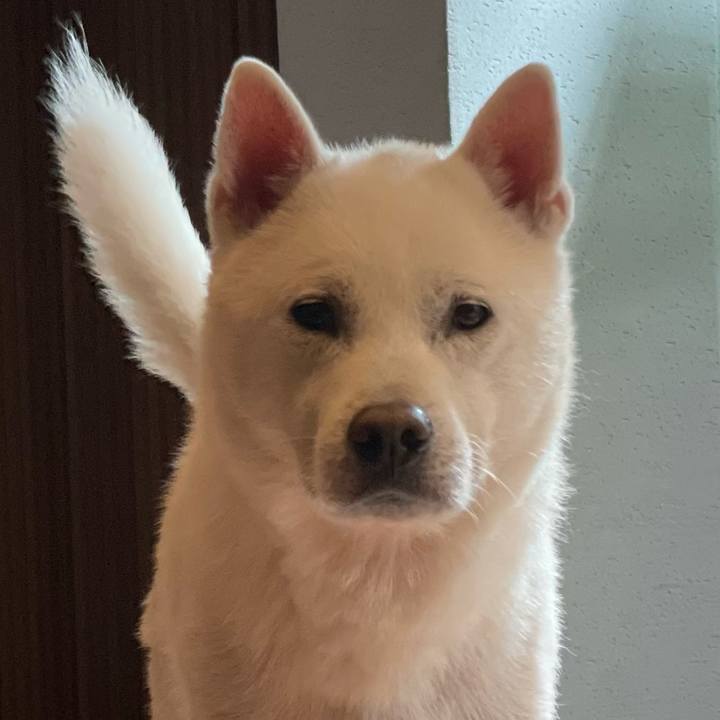 15b4cd7c fc95 4163 b6e1 307b24ed700b 1712834951916