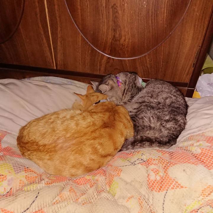 15b4e398 b148 40e8 a185 75643eddc9a6 1587227927796