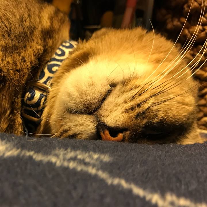 15b4e54b e553 48a3 a5e2 f52e858b74ea 1511306629317