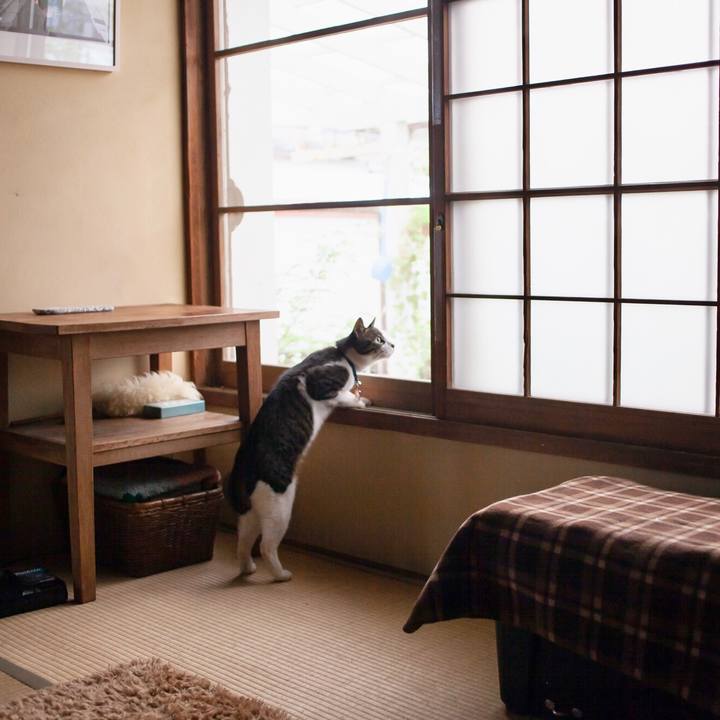 15b4e984 6fb5 48e6 8f57 dd41c57e6197 1591669818248