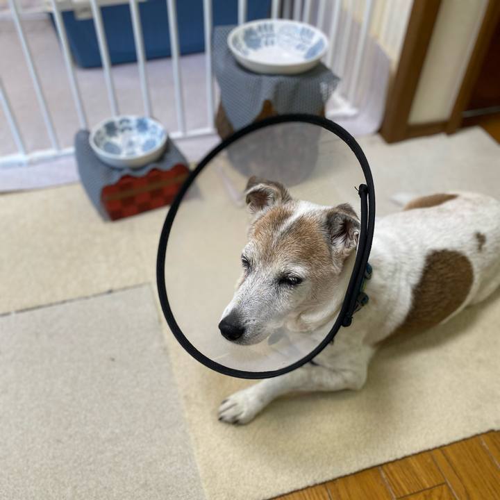 15b51de6 881c 4bf2 b1dd 00ec71a4e99c 1666651418890