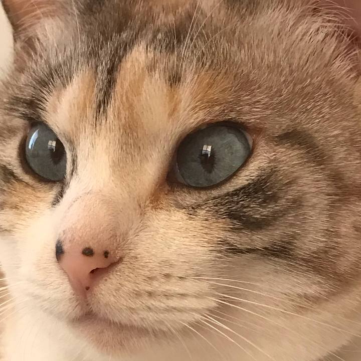 15b523ac d038 47c4 9096 bdb15503b2ca 1548939213730