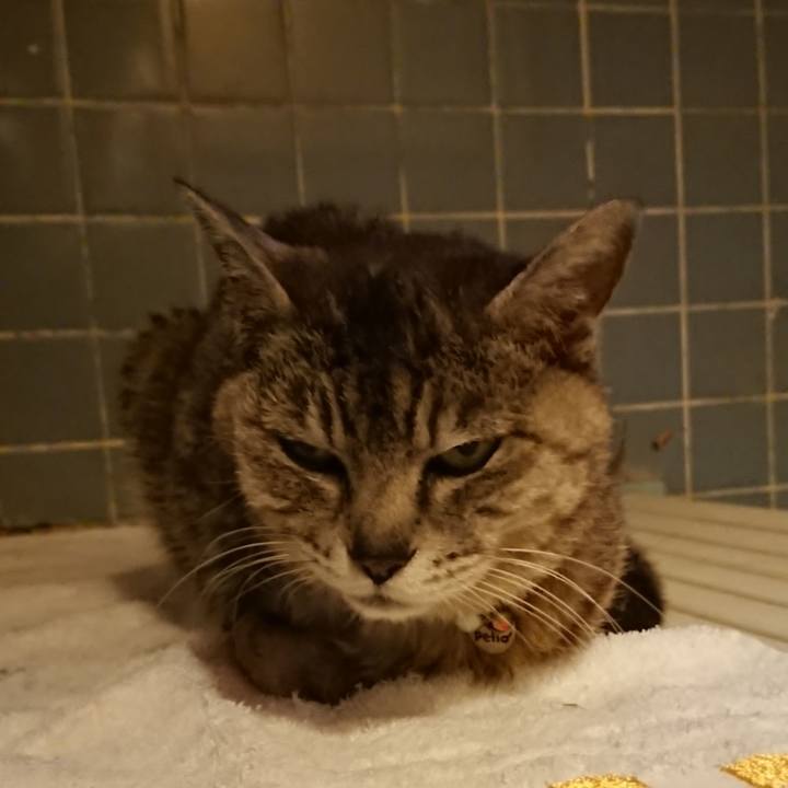 15b5a55d 4e88 4fab 8082 ea5006eb66d8 1591957179752