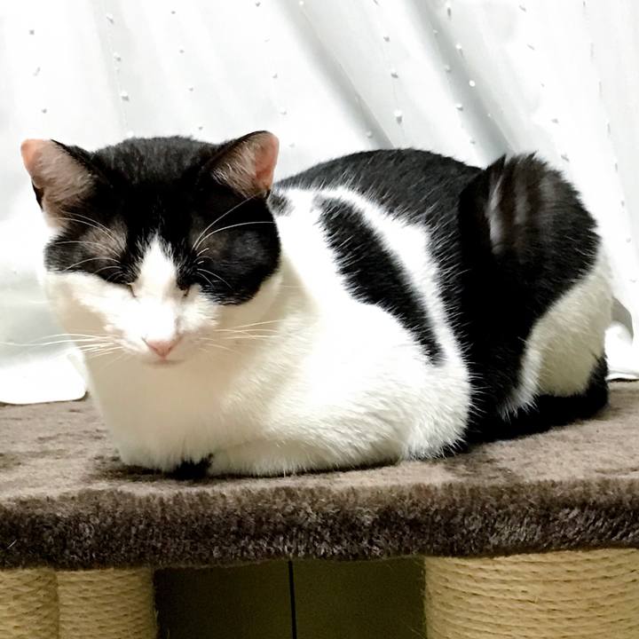 15b5bf1d 3249 4fb1 8e89 05abd92c8671 1524841195265